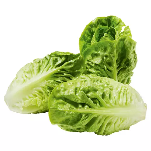 Baby Gem Lettuce 3 Pack