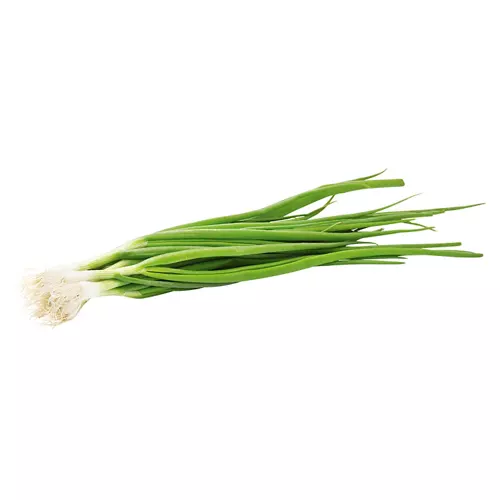 Spring Onion Bunch