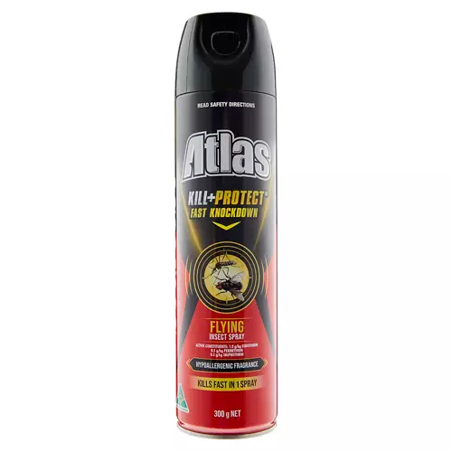 Flying Insect Spray Fast Knockdown 300g