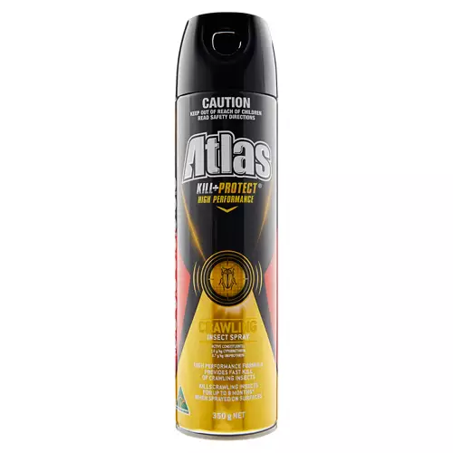 High Performance Crawling Insect Spray 350g