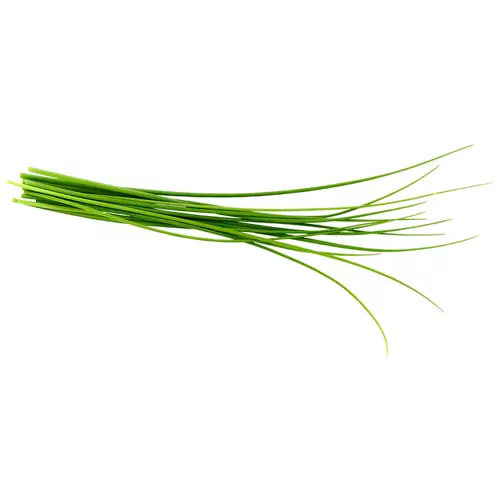 Living Herbs Chives