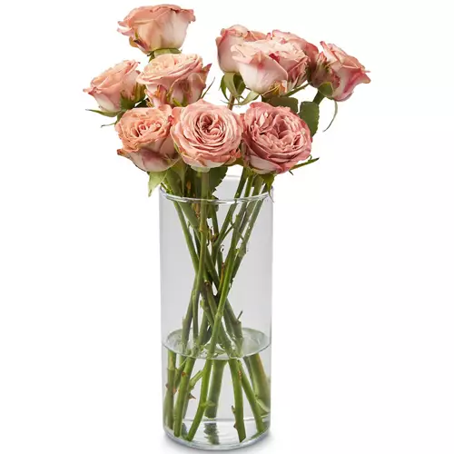 Rose Bunch