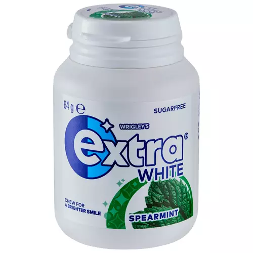 Spearmint Gum 64g