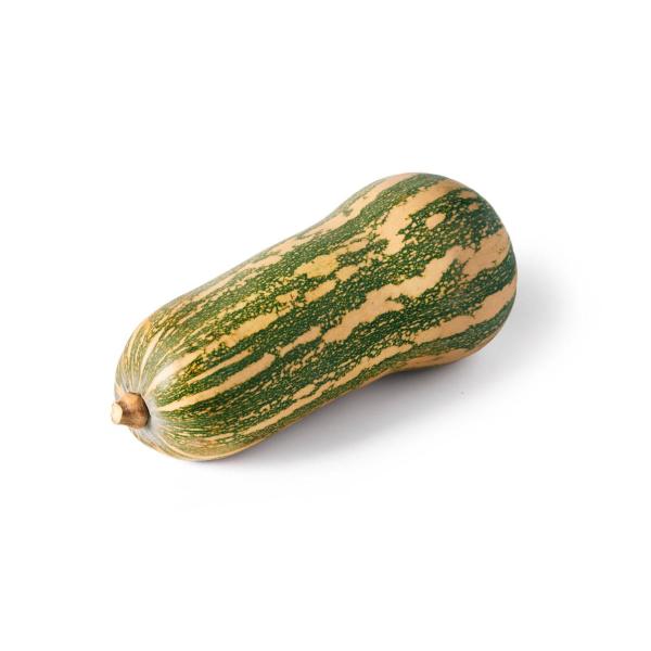 Organic Japnut Pumpkin