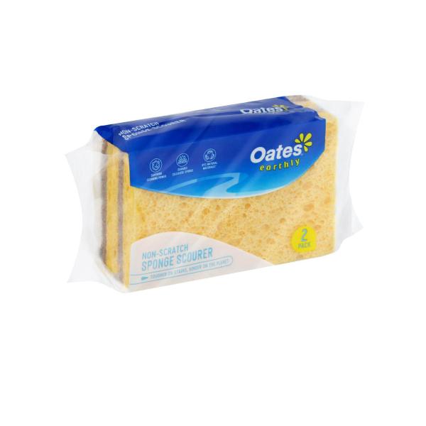 Non-scratch Sponge Scourer