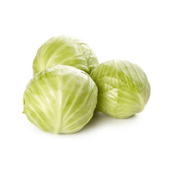 Drumhead Cabbage Mini