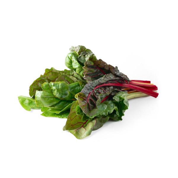 Organic Rainbow Chard Bunch