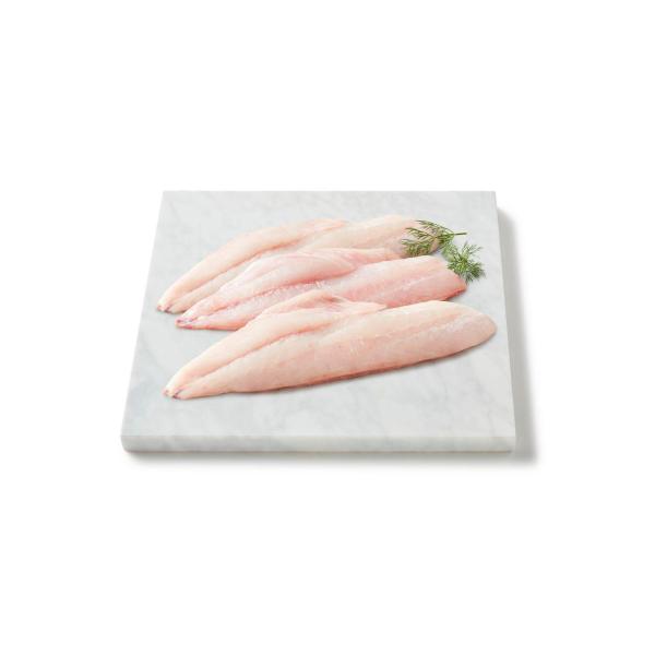 Fresh Wild Tropical Snapper Fillet Skin Off