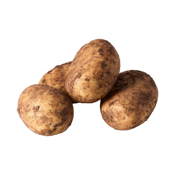 Organic Dutch Cream Potatoes