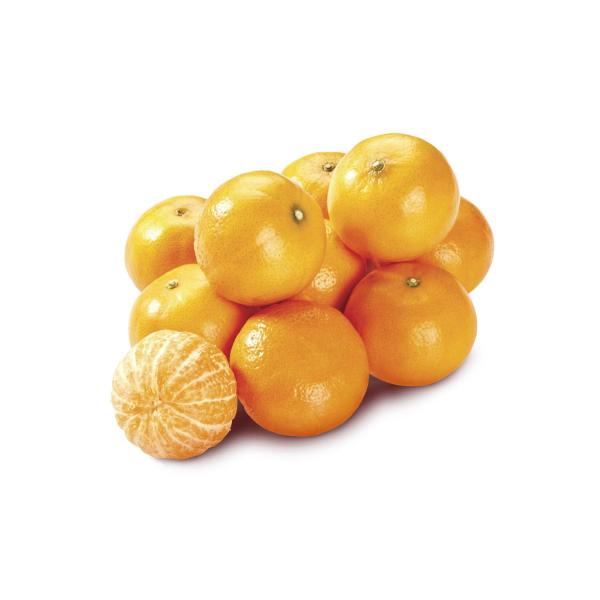 Murcott Mandarins Medium
