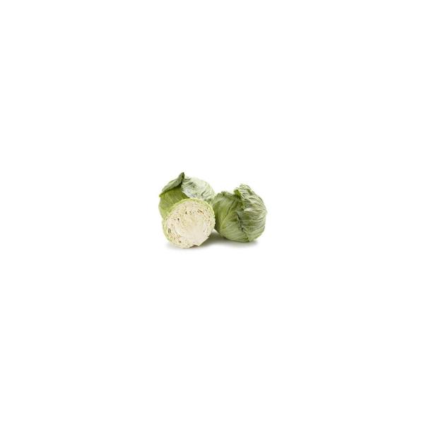 Cabbage Half Drumhead White