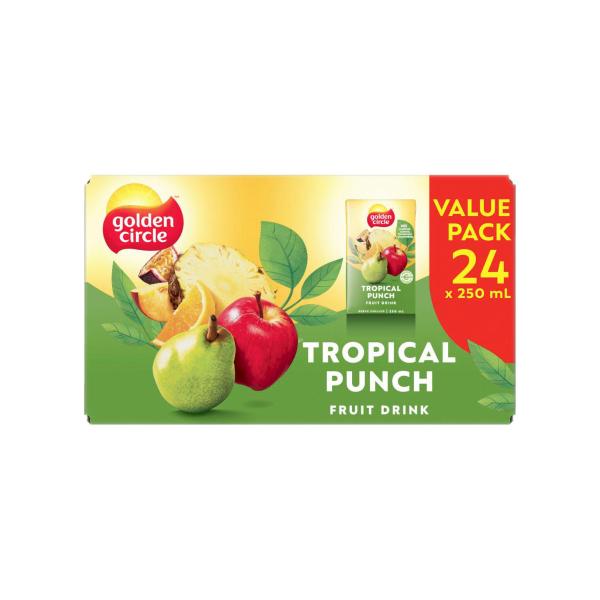 Tropical Fruit Drink 24x250ml