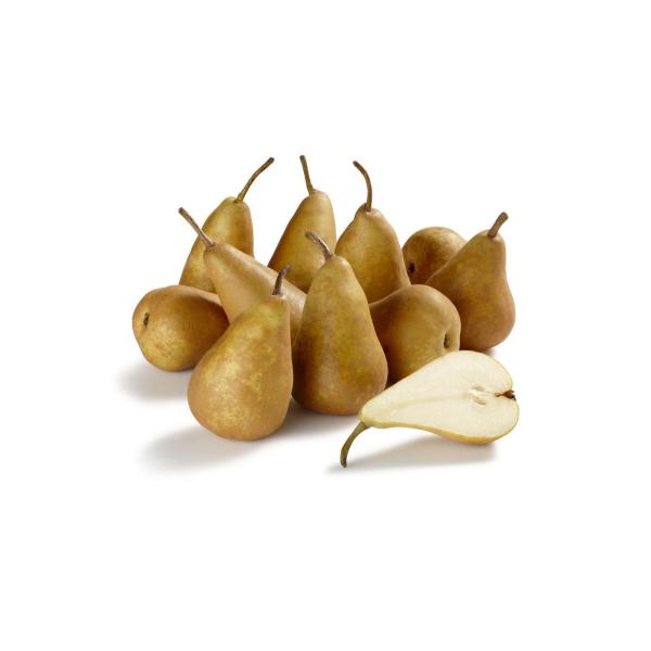 Beurre Bosc Pears