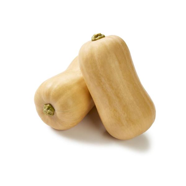 Butternut Pumpkin Whole