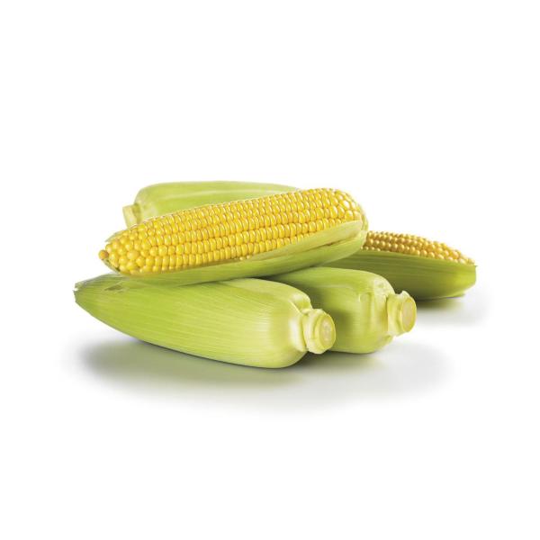 Sweet Corn