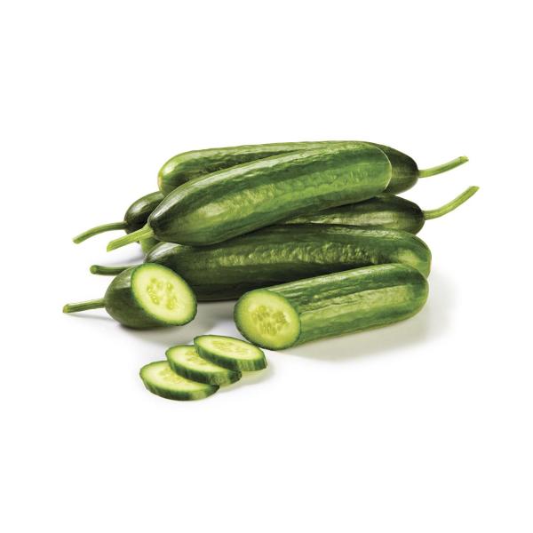 Lebanese Cucumbers