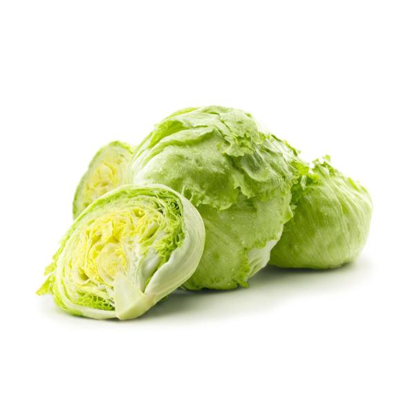 Iceberg Lettuce
