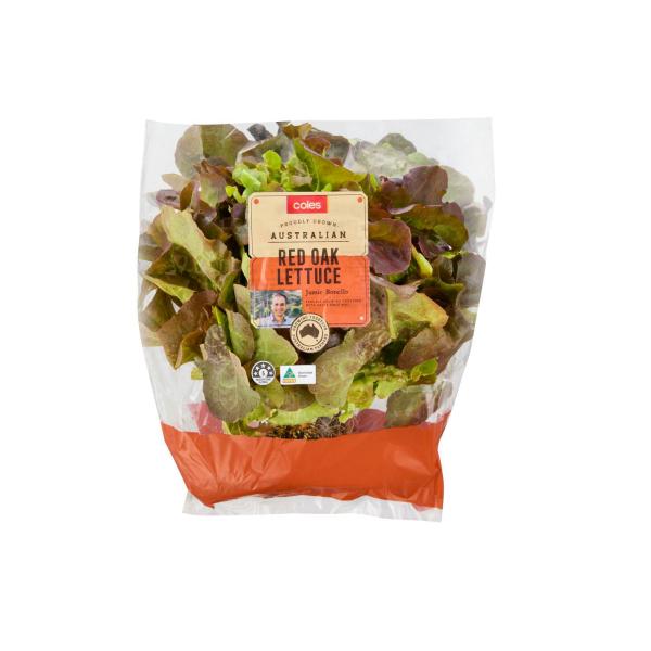 Lettuce Decorative Oak Red