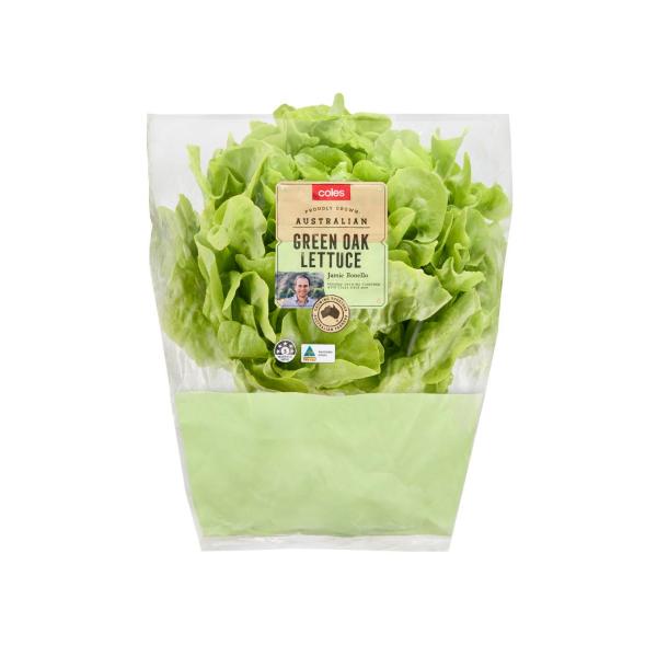 Lettuce Decorative Green Oak