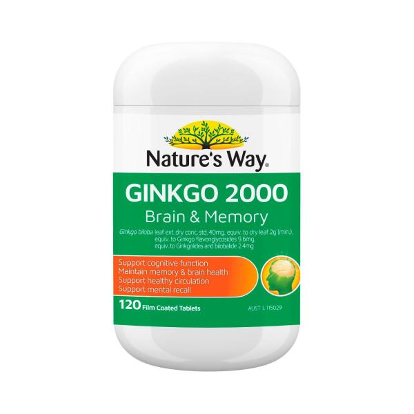 Gingko 2000 Brain & Memory