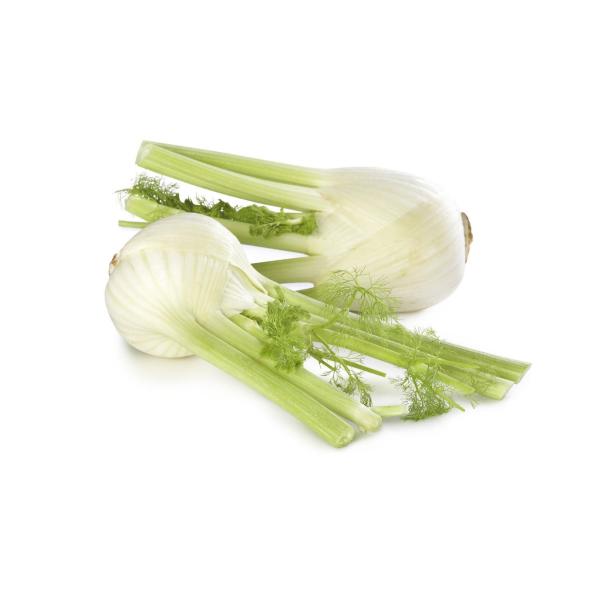 Fennel