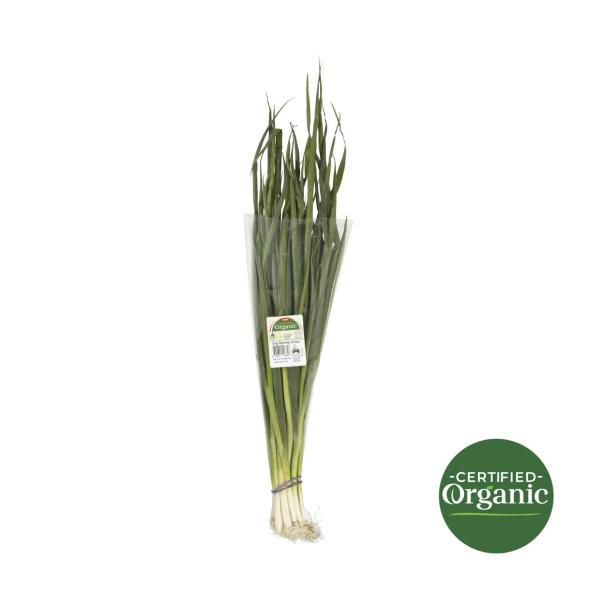 Spring Onions