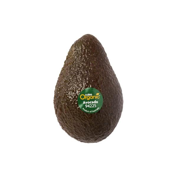 Avocado
