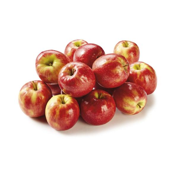 Pink Lady Apples Medium