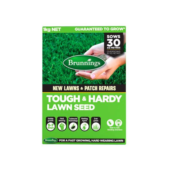 Tough Lawn Seed