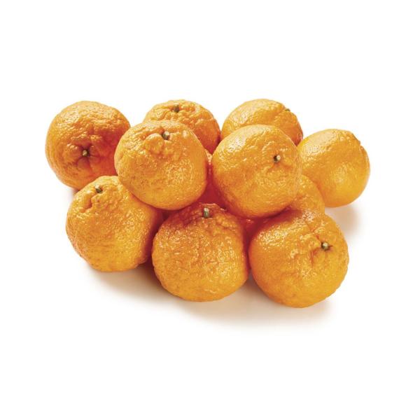 Gold Nugget Seedless Mandarins
