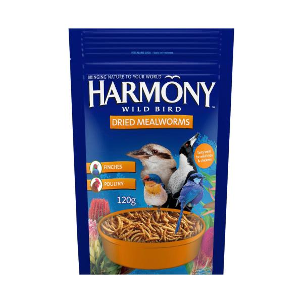 Dried Mealworms