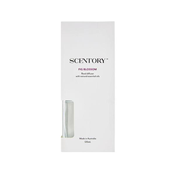 Fragrance Reed Diffuser Fig Blossom