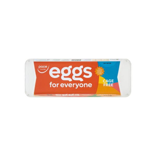 Eggs For Everyone Cage Free 12 Pack