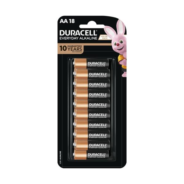 Everyday Alkaline AA Alkaline Batteries