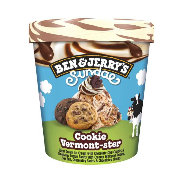 Cookie Vermont-ster Sundae Ice Cream Tub