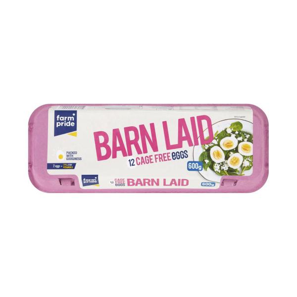 Cage Free Barn Laid Eggs 12 Pack