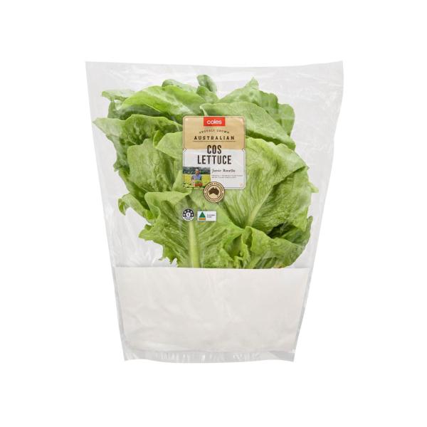Cos Lettuce Head