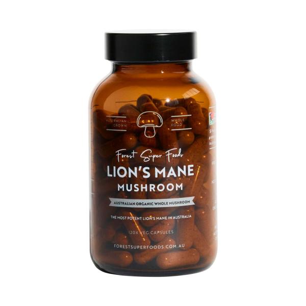 Lion's Mane Mushroom