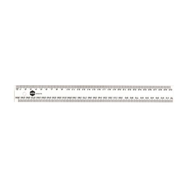 Clear Platic Ruler 30cm