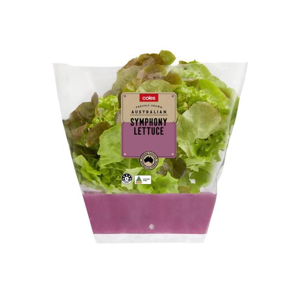 Symphony Lettuce Decorative