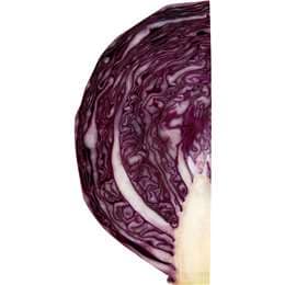 Fresh Red Cabbage Quarter each