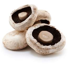 Mushrooms Flat Large Loose per 350g
