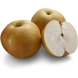 Fresh Brown Nashi Pear each