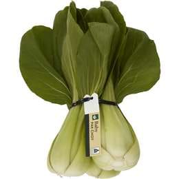 Pak Choy Baby Asian Greens each