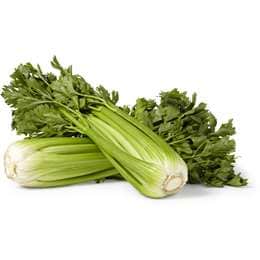 Fresh Celery Organic each
