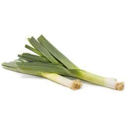 Leek Twin 2 pack