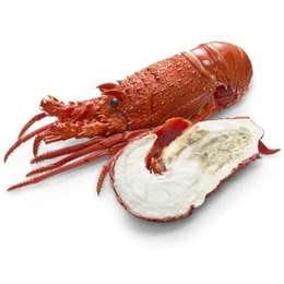 Thawed Cooked Rock Lobster each