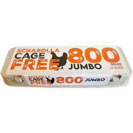Scharolla 12 Jumbo Cage Free Eggs 800g