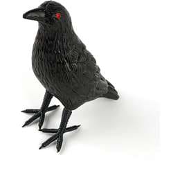 Halloween Animal Decoration Black Raven each
