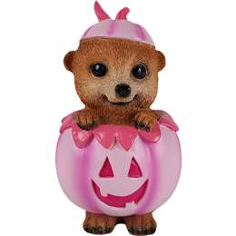Mirabella Meerkat Figurine Pumpkin each